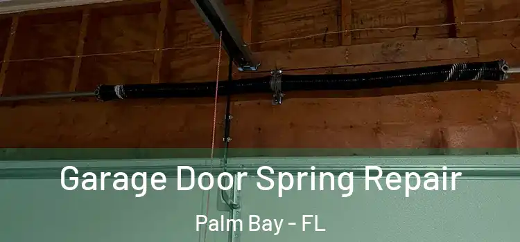 Garage Door Spring Repair Palm Bay - FL