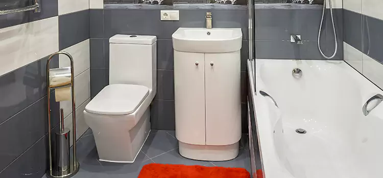Hansgrohe Shaving Mirror Palm Bay