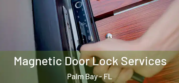 Magnetic Door Lock Services Palm Bay - FL